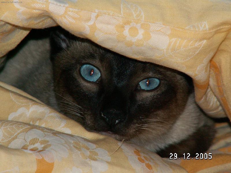 Foto: MICINEK-Kuk